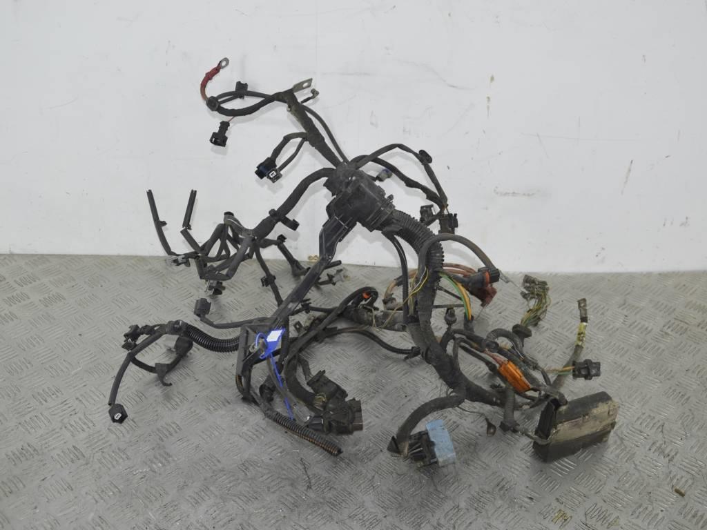 Проводка двигателя Renault Clio 3 (2005-2012)